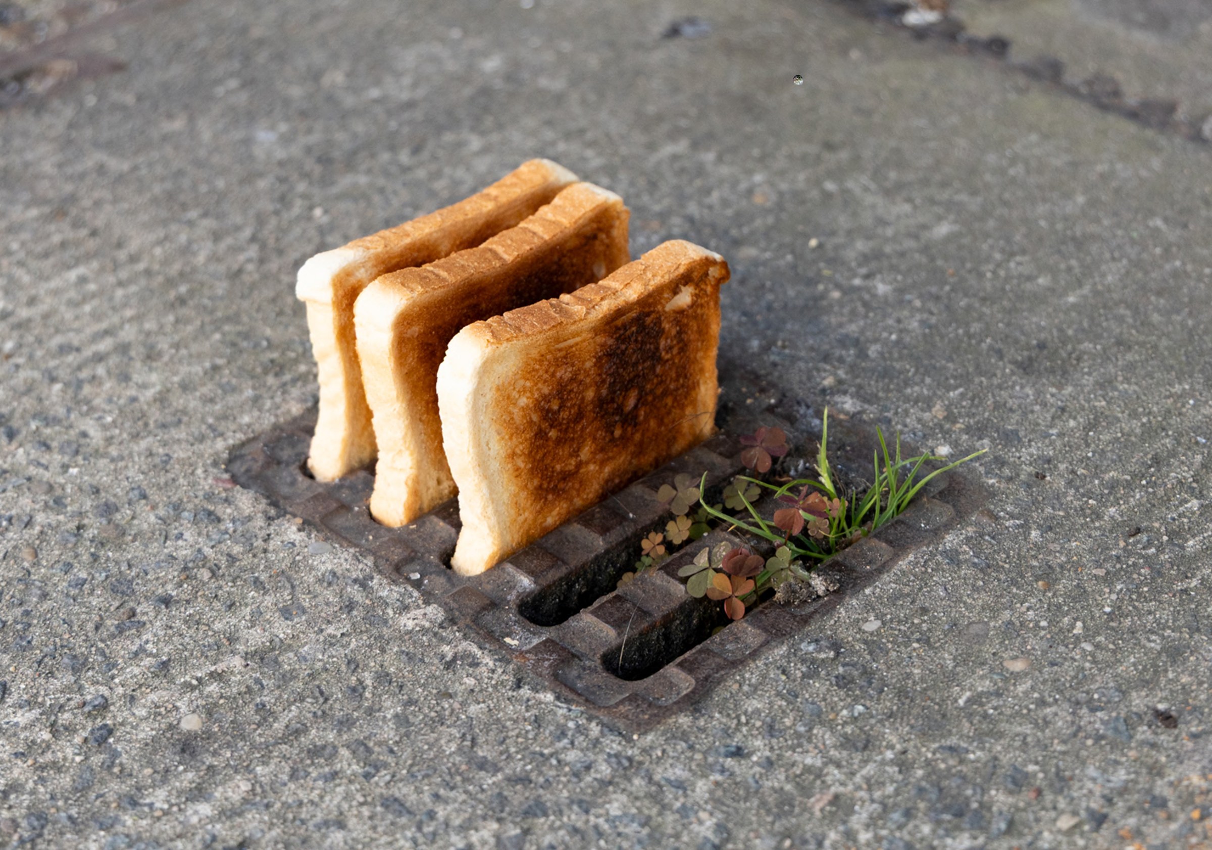 Street Food (Serie), 2025–2026 — Boram Park
