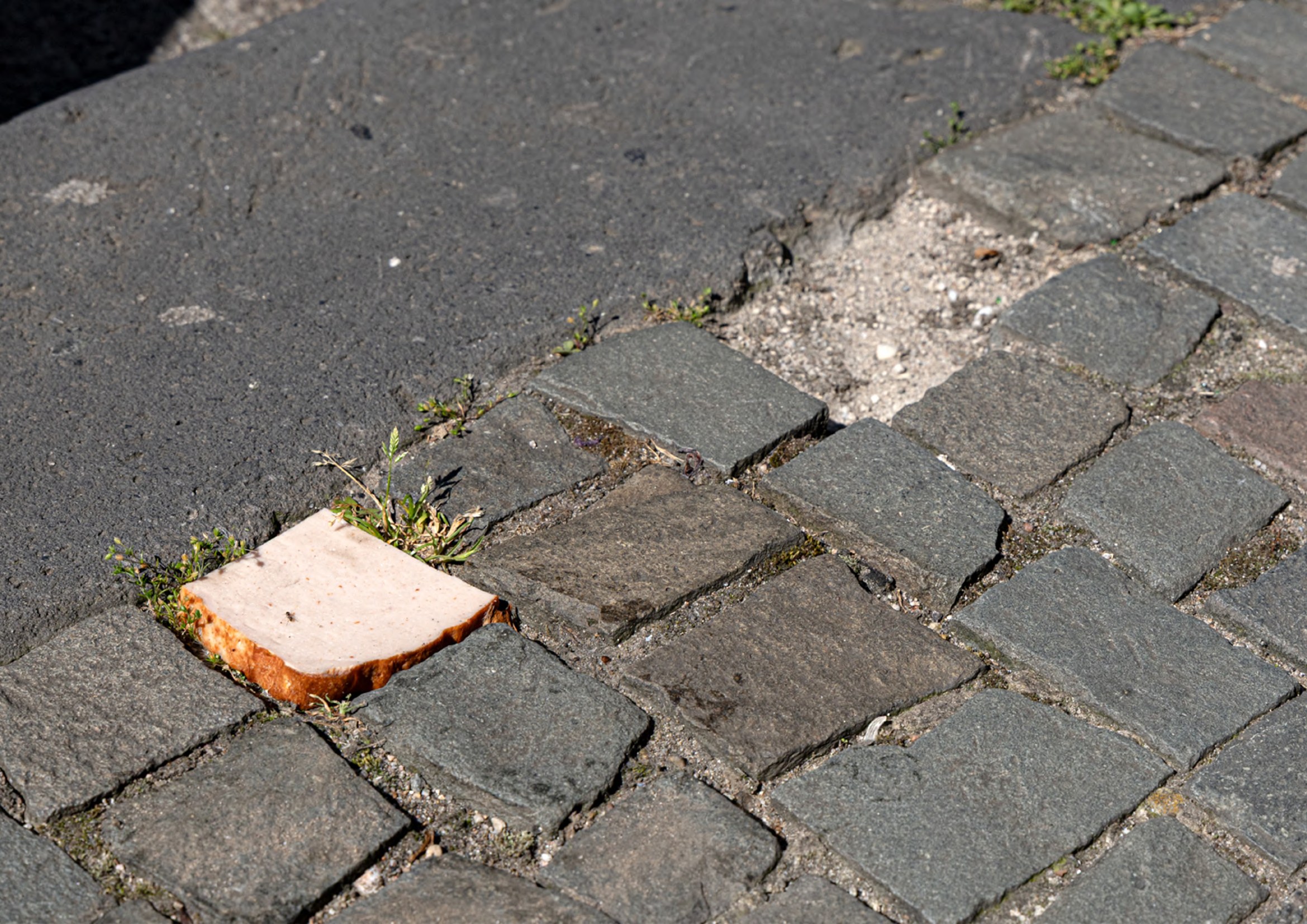 Street Food (Serie), 2025–2026 — Boram Park